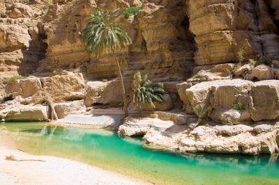080316-29 Oman - Wadi Shab (Andries3)  [flickr.com]  CC BY-SA 
Informations sur les licences disponibles sous 'Preuve des sources d'images'