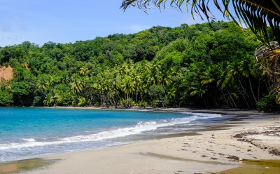 Batibou Beach, Dominica (Matthias Ripp)  [flickr.com]  CC BY 
Informations sur les licences disponibles sous 'Preuve des sources d'images'