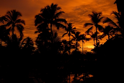 Brasil... sunrise. (M.J.Ambriola)  [flickr.com]  CC BY-SA 
Informations sur les licences disponibles sous 'Preuve des sources d'images'