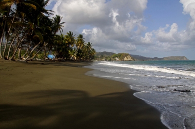 Carapuse Bay, Tobago (neiljs)  [flickr.com]  CC BY 
Informations sur les licences disponibles sous 'Preuve des sources d'images'