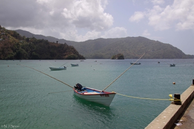 Information climatique Trinité-et-Tobago