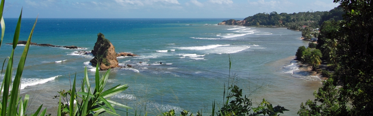 Dominica Coastline (Ken Bosma)  [flickr.com]  CC BY 
Informations sur les licences disponibles sous 'Preuve des sources d'images'