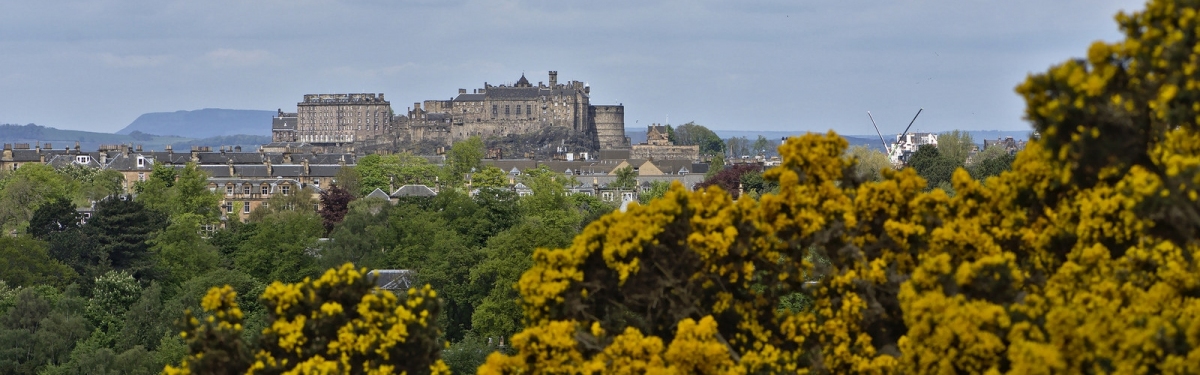 Edinburgh Castle (Magnus Hagdorn)  [flickr.com]  CC BY-SA 
Informations sur les licences disponibles sous 'Preuve des sources d'images'
