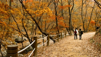 Fall, Korea (PlaneMad)  [flickr.com]  CC BY-SA 
Informations sur les licences disponibles sous 'Preuve des sources d'images'