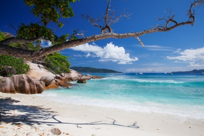 Grande Soeur, a small island  near La Digue, Seychelles (Jean-Marie Hullot)  [flickr.com]  CC BY 
Informations sur les licences disponibles sous 'Preuve des sources d'images'
