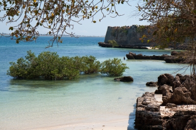 Island of Mozambique (Stig Nygaard)  [flickr.com]  CC BY 
Informations sur les licences disponibles sous 'Preuve des sources d'images'