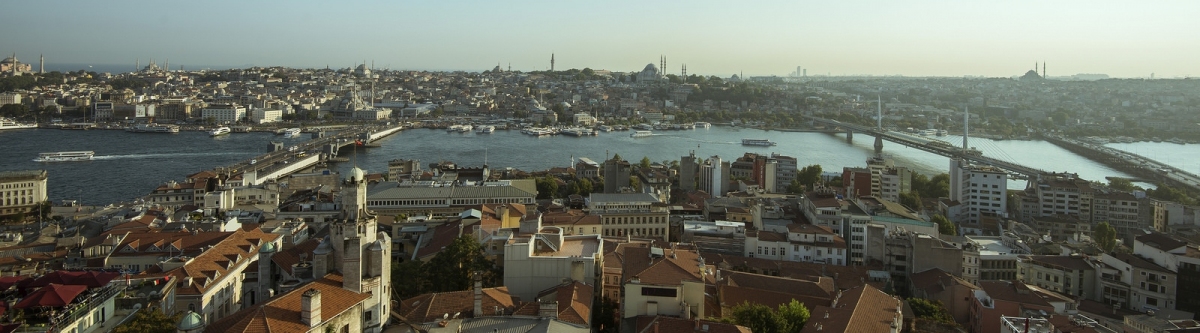 Istanbul skyline (Alexander Cahlenstein)  [flickr.com]  CC BY 
Informations sur les licences disponibles sous 'Preuve des sources d'images'