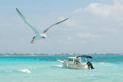 Meilleur moment pour voyager Îles Caïmans