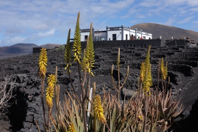 Meilleur moment pour voyager Lanzarote