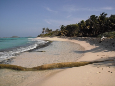 Information climatique Saint-Vincent-et-les Grenadines