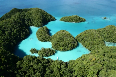 Meilleur moment pour voyager Palau