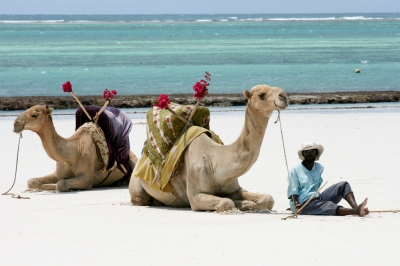 Meilleur moment pour voyager Plage Diani