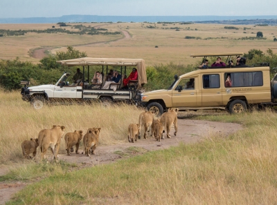 Safari in The Maasai Mara (Ray in Manila)  [flickr.com]  CC BY 
Informations sur les licences disponibles sous 'Preuve des sources d'images'