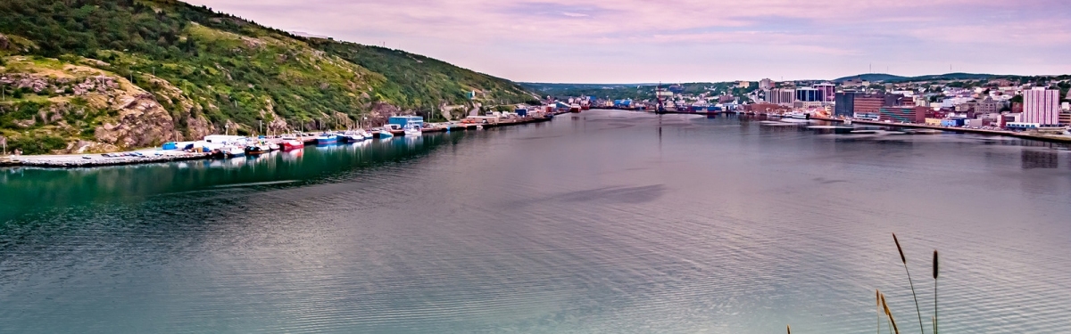 St John Harbour Newfoundland (Michel Rathwell)  [flickr.com]  CC BY 
Informations sur les licences disponibles sous 'Preuve des sources d'images'