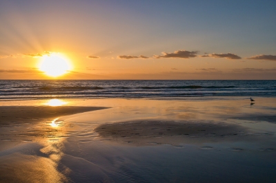 Meilleur moment pour voyager Fuerteventura