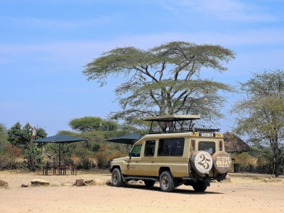 Tanzania (Serengeti National Park) Safari vehicle (Güldem Üstün)  [flickr.com]  CC BY 
Informations sur les licences disponibles sous 'Preuve des sources d'images'
