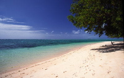 Meilleur moment pour voyager Îles Marshall