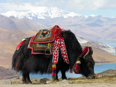 Meilleur moment pour voyager Tibet