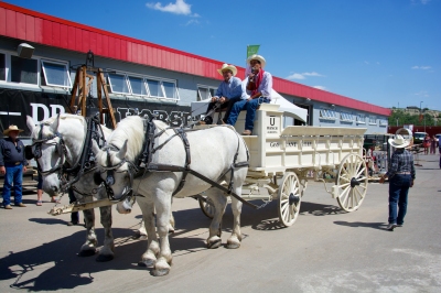 Meilleur moment pour voyager Calgary