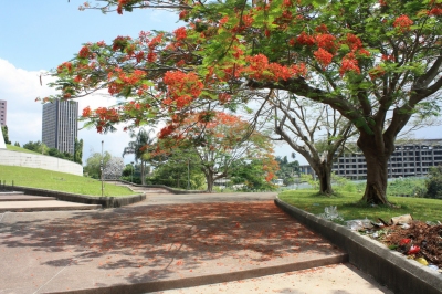 Meilleur moment pour voyager Côte d Ivoire