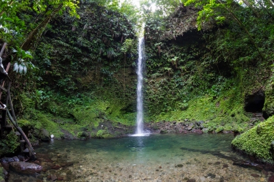 Wall to wall waterfall on Dominica (Chris Favero)  [flickr.com]  CC BY-SA 
Informations sur les licences disponibles sous 'Preuve des sources d'images'